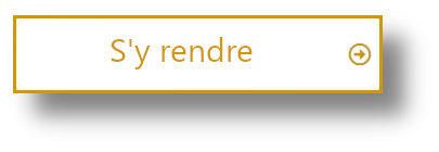 bouton sy rendre-OM