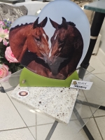 17363413425133103396877030790027