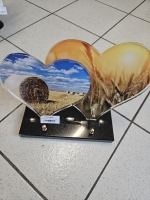 1736333219192170508350949221655