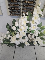 17363422322102529776553532637122