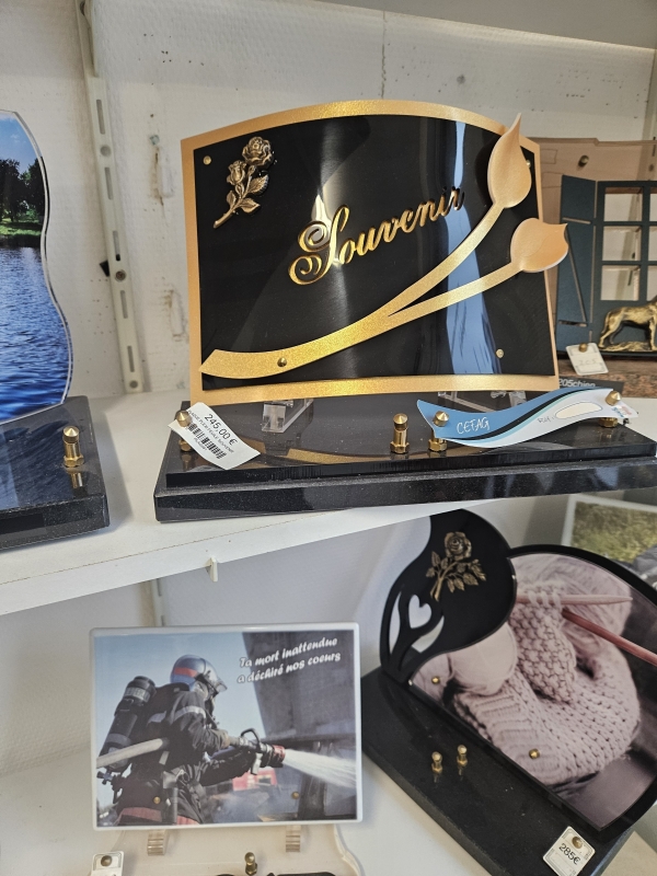 17363417791266354002580205252228